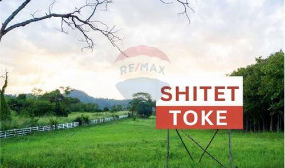 SHITET TOKE NE SELITE!