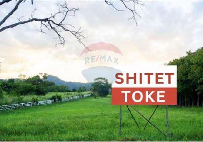 SHITET TOKE NE SELITE!