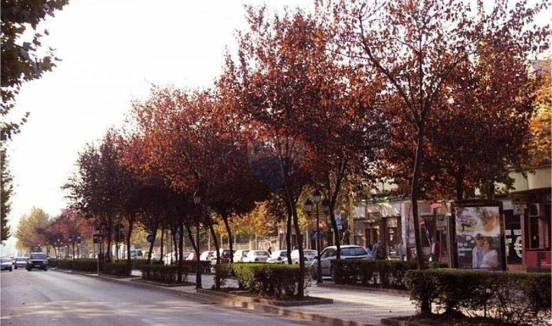 SHESIM AMBIENT PER ZYRA RRUGA E KAVAJES!