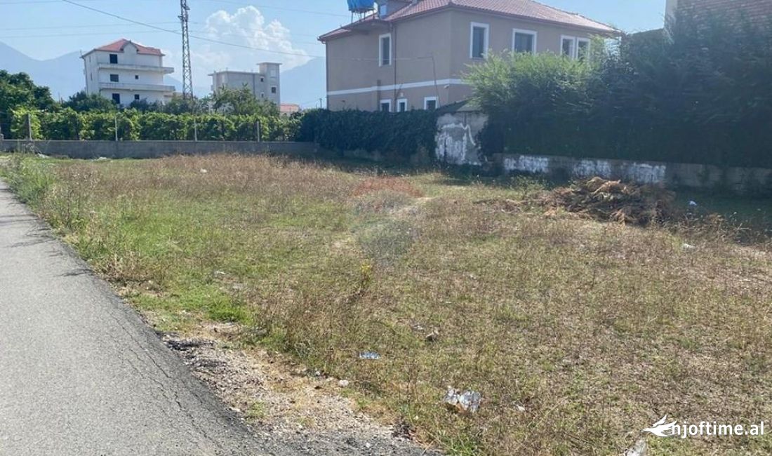 SHITET TOKE NE KAMEZ!