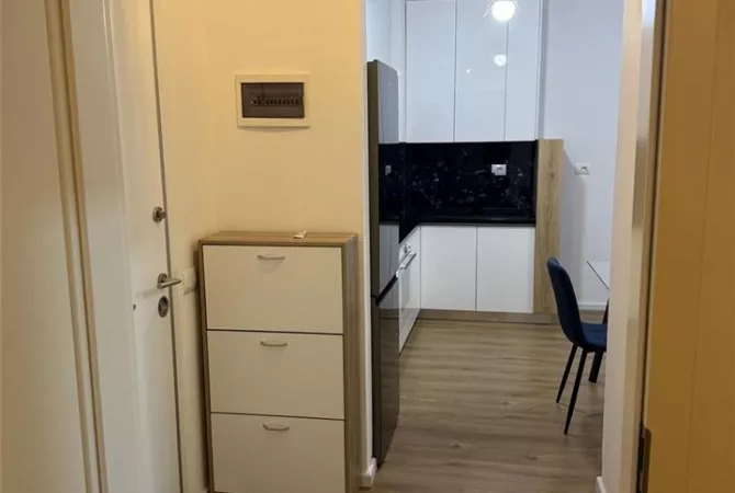 Shtepi me qera Apartament ne Tirane, 1+1, Mobilimi E mobiluar, Pagesa 500  Euro.