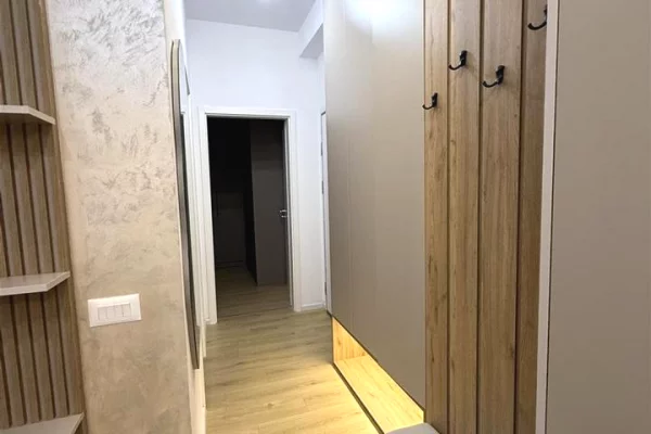 Apartment for rent in Tirana 1+1, Furnished