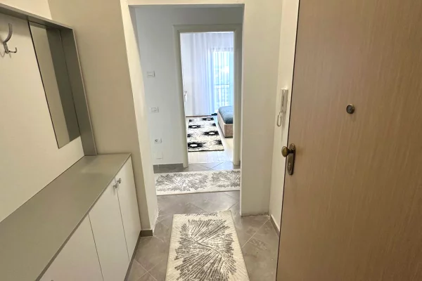 Appartamento in affitto a Tirana 1+1, Arredato