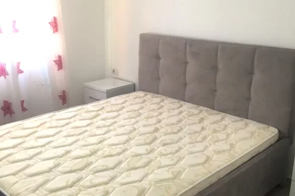 Shtepi me qera Apartament ne Tirane, 1+1, Mobilimi E mobiluar, Pagesa 50,000  Leke.