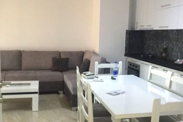Shtepi me qera Apartament ne Tirane, 1+1, Mobilimi E mobiluar, Pagesa 50,000  Leke.
