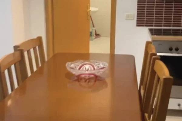 Shtepi me qera Shtepi Private ne Tirane, 1+1, Mobilimi E mobiluar, Pagesa 35,000  Leke.