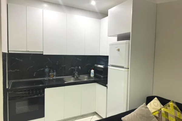 Shtepi me qera Apartament ne Tirane, 1+1, Mobilimi E mobiluar, Pagesa 450  Euro.