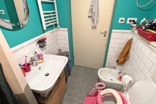 Shtepi ne shitje Apartament ne Tirane, 2+1, Mobilimi E mobiluar, Pagesa 16,500,000  Leke.