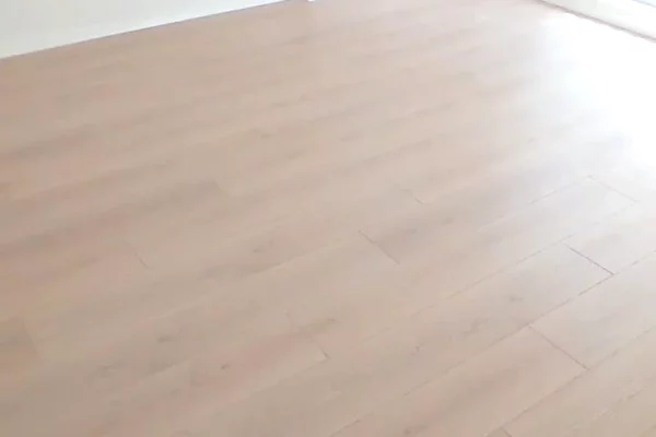 Shtepi me qera 1+1 ne Tirane - 50,000 Leke