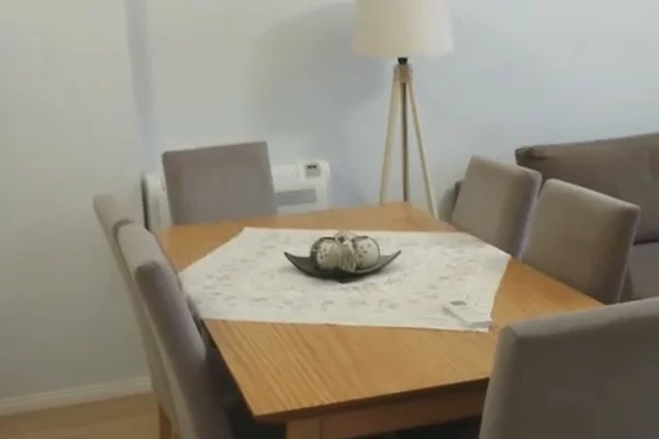 Shtepi me qera Apartament ne Tirane, 2+1, Mobilimi E mobiluar, Pagesa 65,000  Leke.