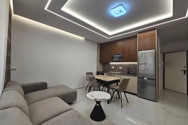 Apartment for rent in Tirana 1+1, Furnished
