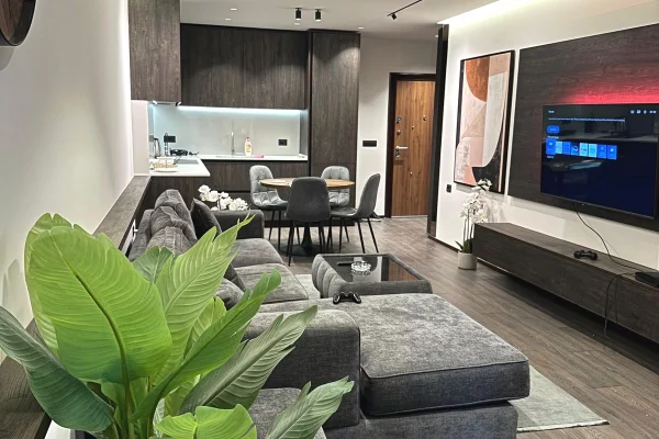 Apartment for rent in Tirana 1+1, Furnished