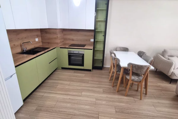 Shtepi me qera Apartament ne Tirane, 1+1, Mobilimi E mobiluar, Pagesa 500  Euro.