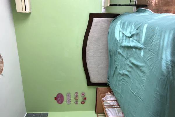 Shtepi me qera Apartament ne Tirane, 2+1, Mobilimi E mobiluar, Pagesa 650  Euro.