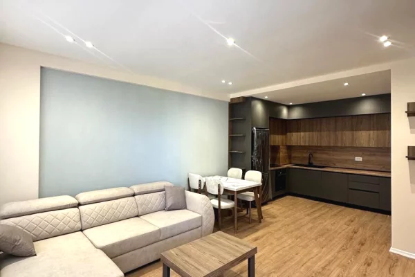 Shtepi me qera 1+1 ne Tirane - 50,000 Leke