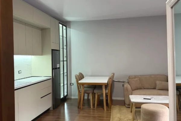 Shtepi me qera Apartament ne Tirane, 1+1, Mobilimi E mobiluar, Pagesa 650  Euro.