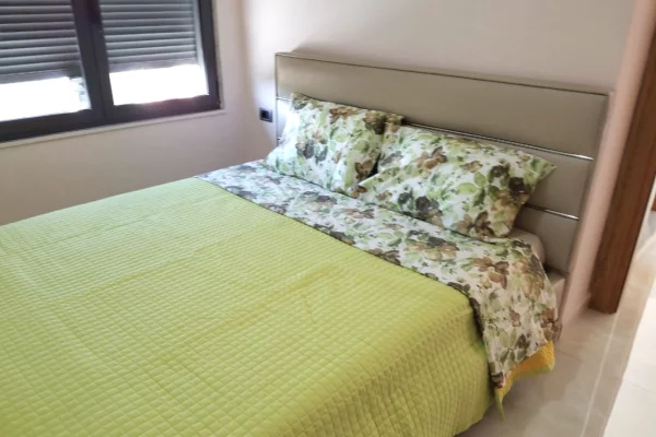 Shtepi me qera Apartament ne Tirane, 1+1, Mobilimi E mobiluar, Pagesa 600  Euro.