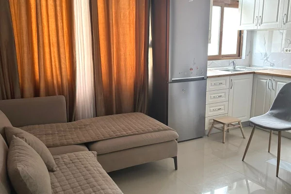 Shtepi me qera Apartament ne Tirane, 1+1, Mobilimi E mobiluar, Pagesa 520  Euro.