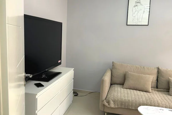 Shtepi me qera Apartament ne Tirane, 1+1, Mobilimi E mobiluar, Pagesa 520  Euro.