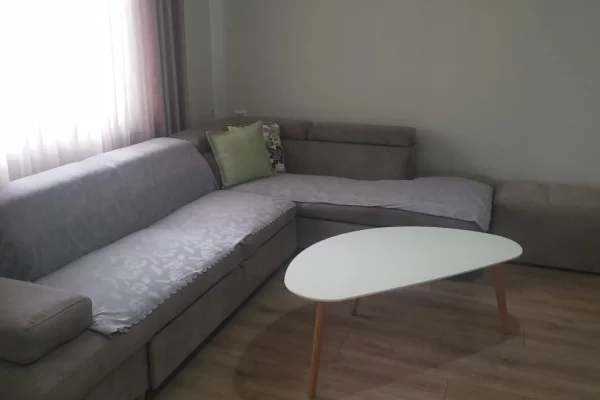 Shtepi me qera Apartament ne Tirane, 1+1, Mobilimi E mobiluar, Pagesa 450  Euro.