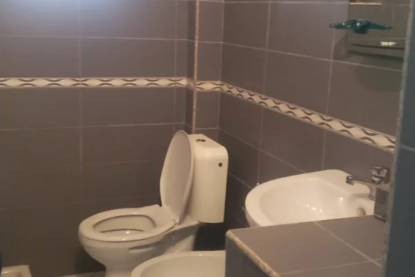 Shtepi me qera Apartament ne Tirane, 1+1, Mobilimi E mobiluar, Pagesa 450  Euro.