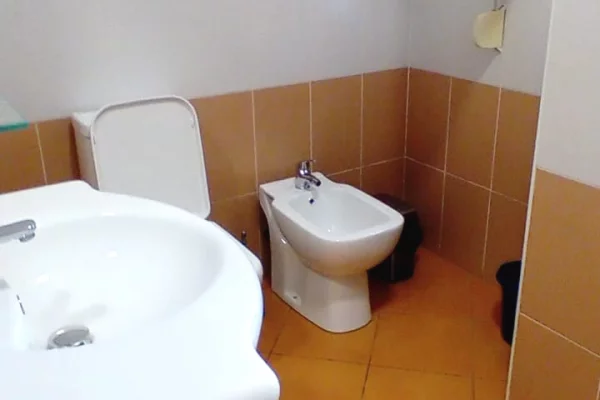 Shtepi me qera Apartament ne Tirane, 1+1, Mobilimi E mobiluar, Pagesa 650  Euro.