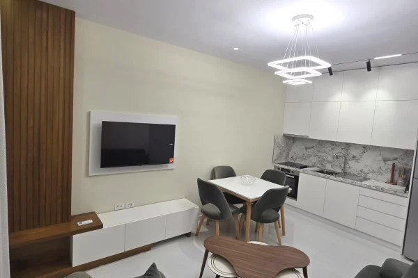 Shtepi me qera Apartament ne Tirane, 1+1, Mobilimi E mobiluar, Pagesa 40,000  Leke.