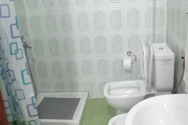 Shtepi me qera Apartament ne Tirane, 1+1, Mobilimi E mobiluar, Pagesa 450  Euro.