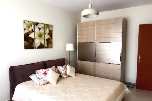 Shtepi me qera Apartament ne Tirane, 1+1, Mobilimi E mobiluar, Pagesa 750  Euro.