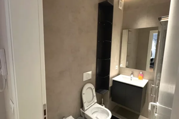Shtepi me qera Apartament ne Tirane, 1+1, Mobilimi E mobiluar, Pagesa 800  Euro.