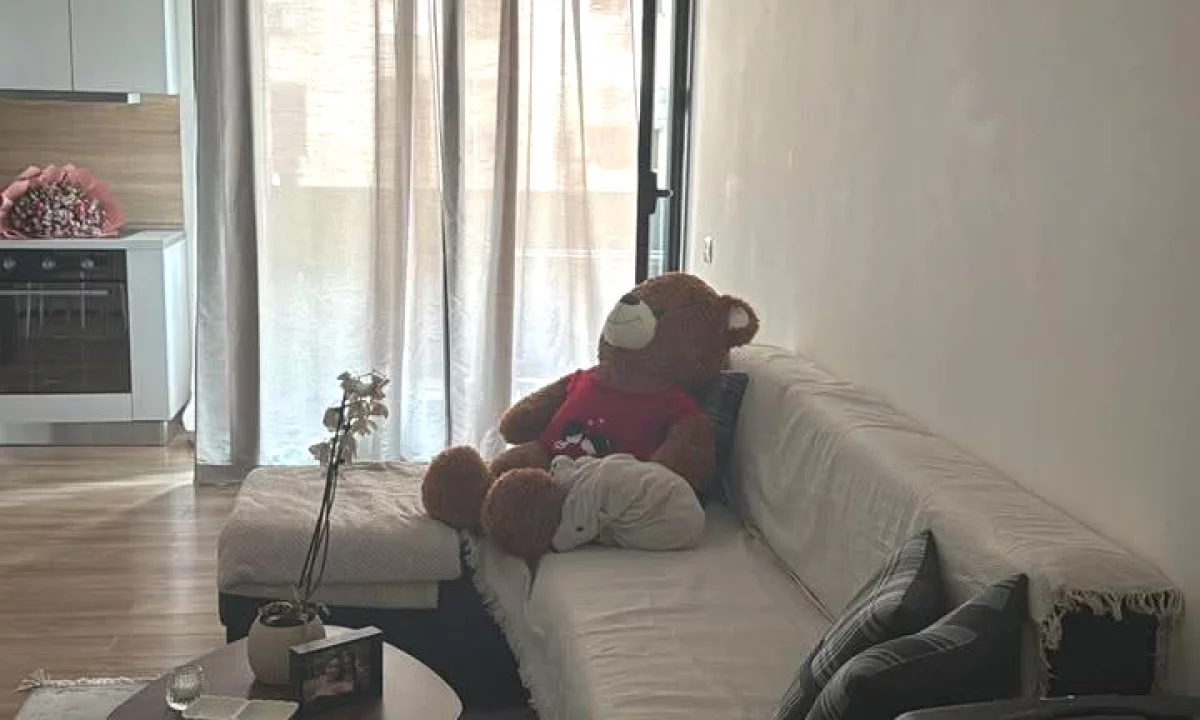 Shtepi me qera Apartament ne Tirane, 1+1, Mobilimi E mobiluar, Pagesa 60,000  Leke.