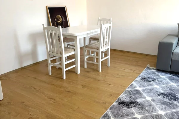 Shtepi me qera Apartament ne Tirane, 1+1, Mobilimi E mobiluar, Pagesa 48,000  Leke.