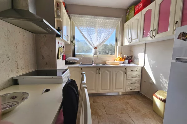 Shtepi me qera Apartament ne Tirane, 1+1, Mobilimi E mobiluar, Pagesa 40,000  Leke.
