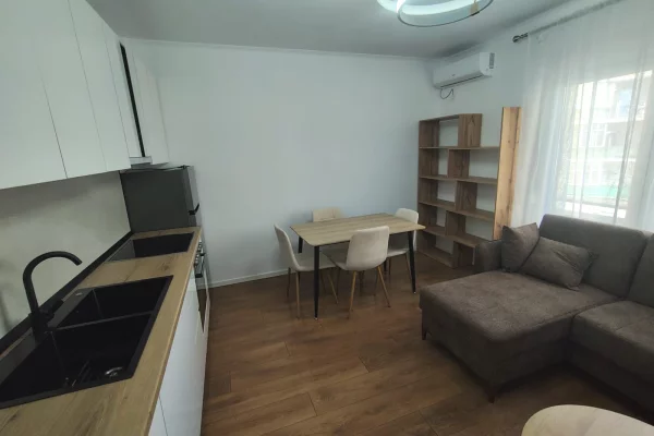 Shtepi me qera Apartament ne Tirane, 1+1, Mobilimi E mobiluar, Pagesa 500  Euro.