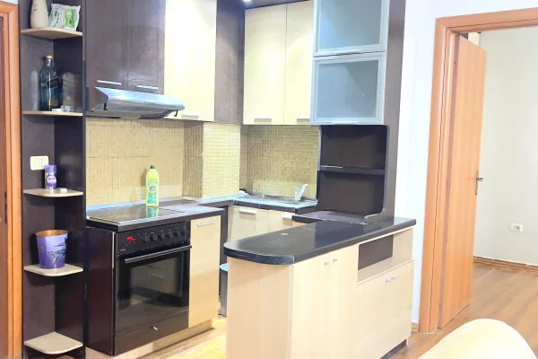 Shtepi me qera 1+1 ne Tirane - 50,000 Leke