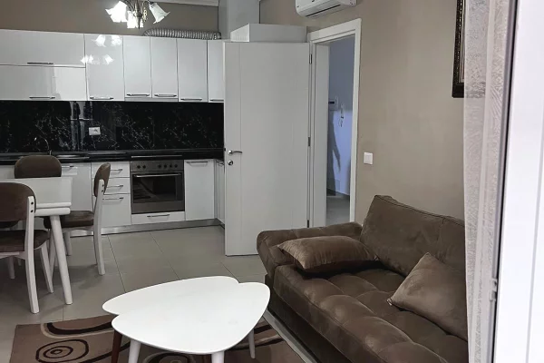 Shtepi me qera Apartament ne Tirane, 1+1, Mobilimi E mobiluar, Pagesa 50,000  Leke.