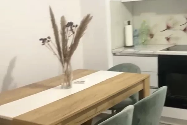 Shtepi me qera Apartament ne Tirane, 1+1, Mobilimi E mobiluar, Pagesa 55,000  Leke.
