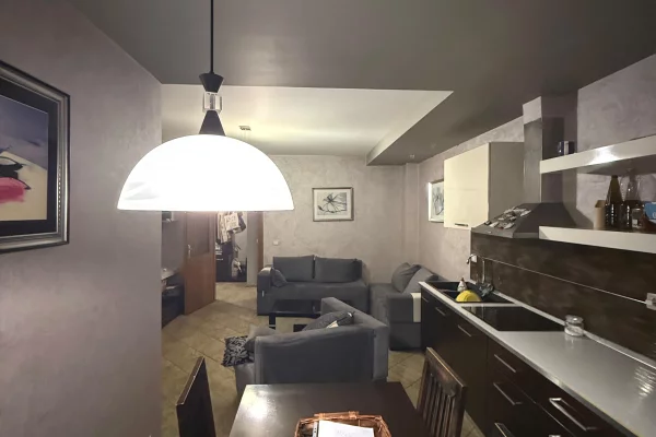 Shtepi me qera Apartament ne Tirane, 2+1, Mobilimi E mobiluar, Pagesa 60,000  Leke.