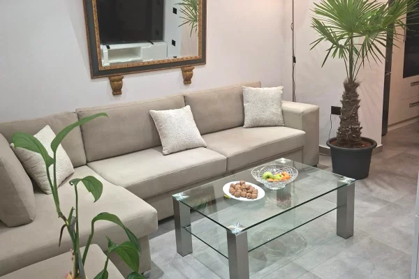 Jepet me qira 1+1 Komuna e Parisit 750€
