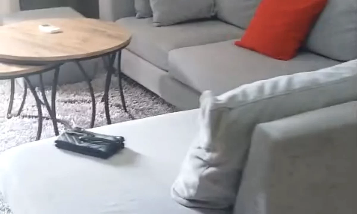 Shtepi me qera Apartament ne Tirane, 1+1, Mobilimi E mobiluar, Pagesa 60,000  Leke.