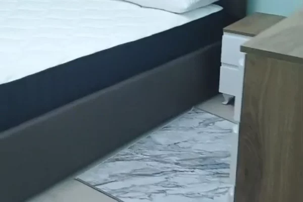 Shtepi me qera Apartament ne Tirane, 1+1, Mobilimi E mobiluar, Pagesa 60,000  Leke.