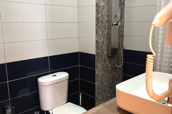 Shtepi me qera Apartament ne Tirane, 1+1, Mobilimi E mobiluar, Pagesa 55,000  Leke.