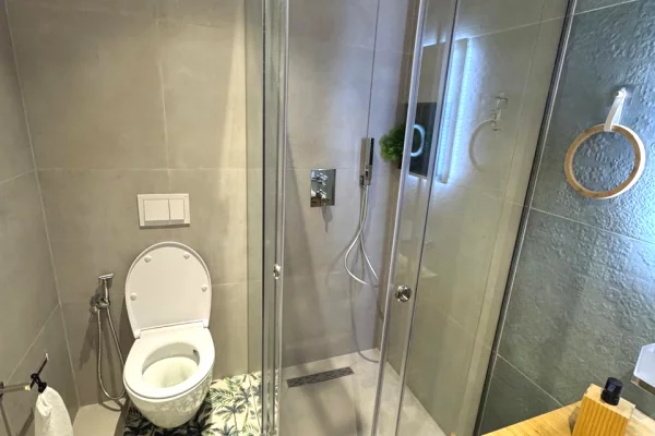 Shtepi me qera Apartament ne Tirane, 1+1, Mobilimi E mobiluar, Pagesa 85,000  Leke.
