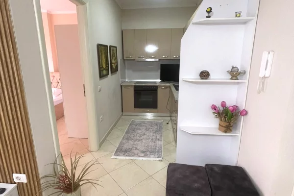 Shtepi me qera Apartament ne Tirane, 1+1, Mobilimi E mobiluar, Pagesa 60,000  Leke.