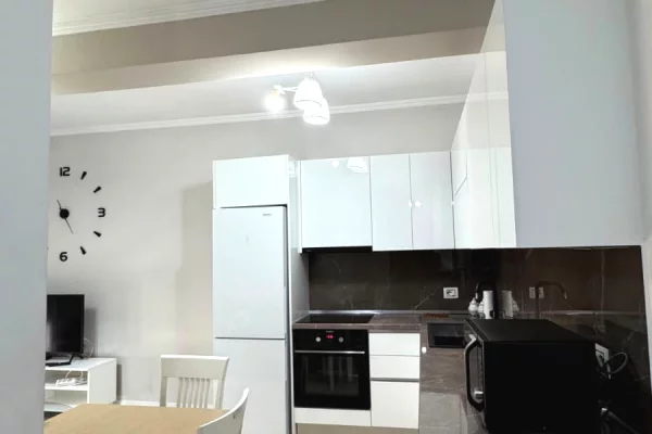 Shtepi me qera Apartament ne Tirane, 1+1, Mobilimi E mobiluar, Pagesa 55,000  Leke.