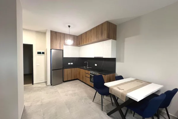Shtepi me qera 1+1 ne Tirane - 55,000 Leke