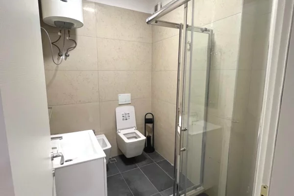 Shtepi me qera Apartament ne Tirane, 1+1, Mobilimi E mobiluar, Pagesa 55,000  Leke.