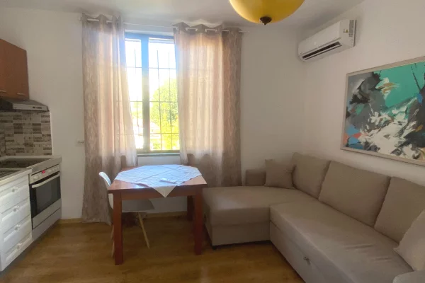 Shtepi me qera Apartament ne Tirane, 1+1, Mobilimi E mobiluar, Pagesa 65,000  Leke.