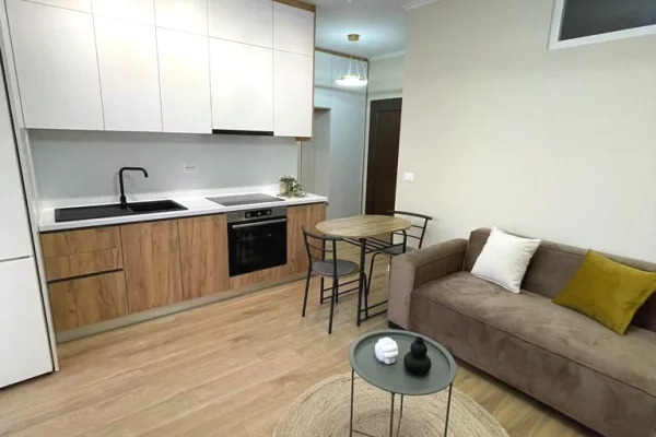 Shtepi me qera Apartament ne Tirane, 1+1, Mobilimi E mobiluar, Pagesa 500  Euro.