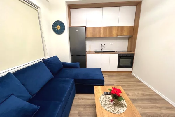 House for Rent Apartment in Tirana, 1+1, Furniture Furnished, Payment 50,000  Leke.